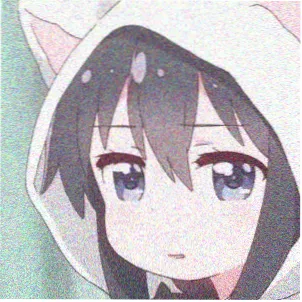 观众半山听雨头像